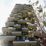 Il Bosco verticale è l’edificio più bello del mondo