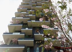 Il Bosco verticale è l’edificio più bello del mondo