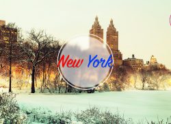 New York: city of contaminations