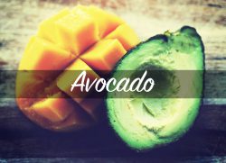 Avocado: a journey between sea and land