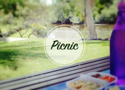 It’s picnic time…